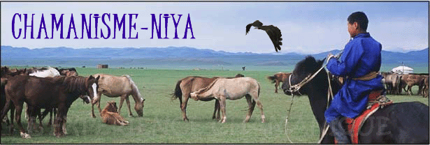 chamanisme-niya